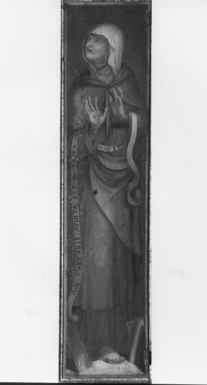 Sibilla (dipinto, insieme) di Nardini Francesco detto Santagnolo (attribuito) (metà sec. XVI)