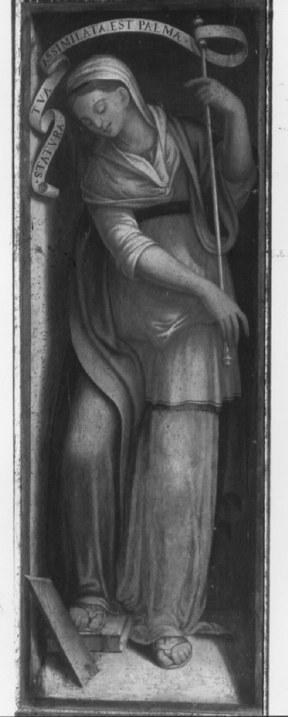 Sibilla (dipinto, insieme) di Nardini Francesco detto Santagnolo (attribuito) (metà sec. XVI)