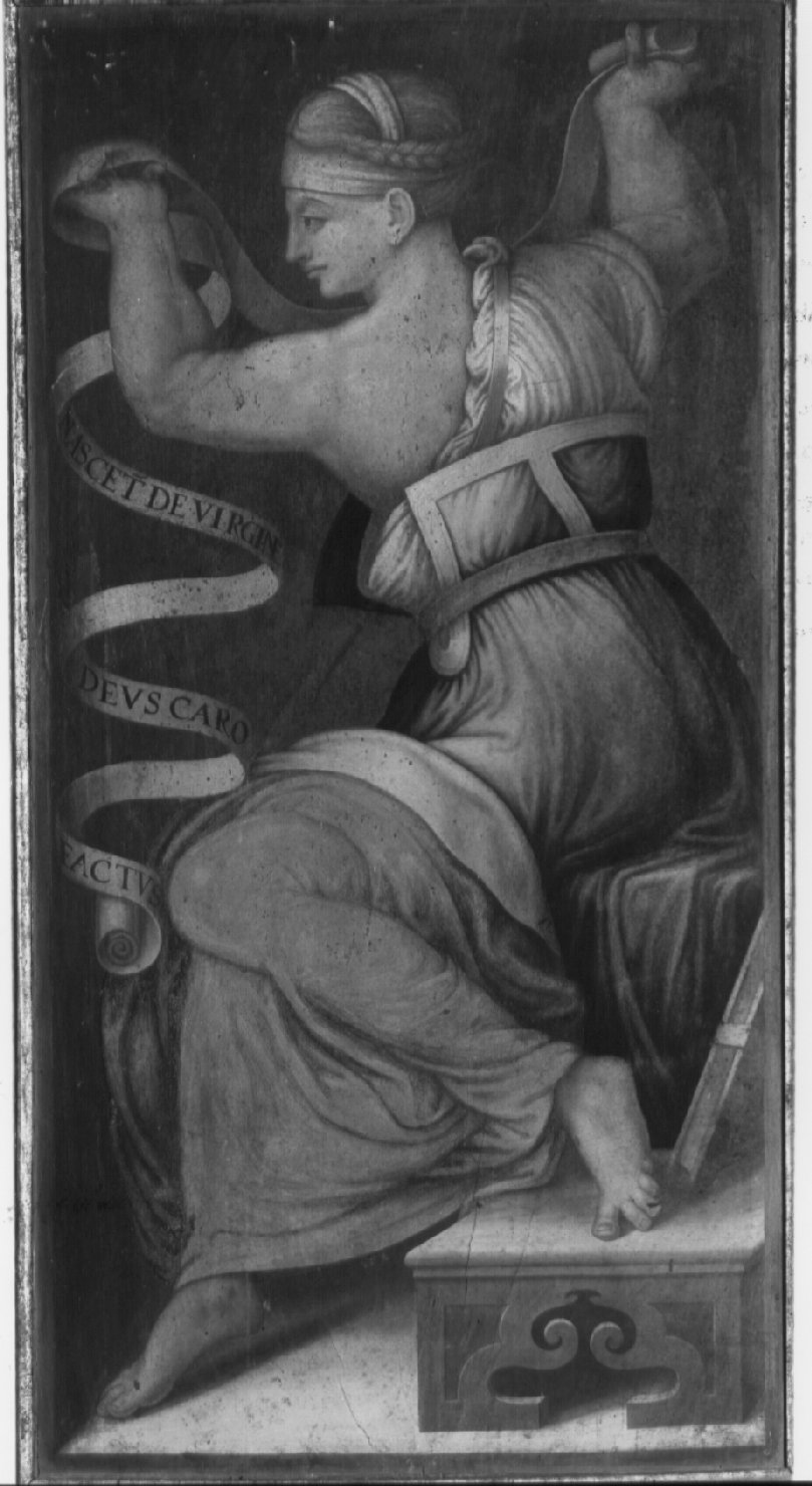 Sibilla (dipinto, insieme) di Nardini Francesco detto Santagnolo (attribuito) (metà sec. XVI)