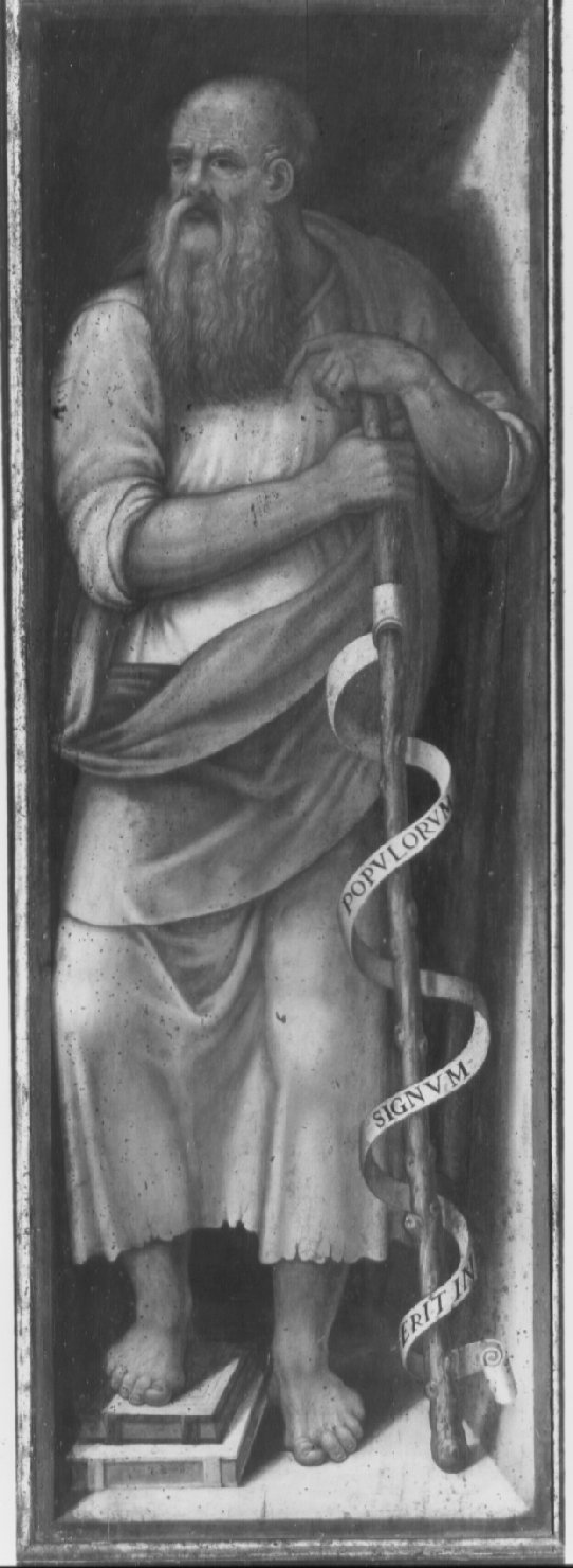 profeta (dipinto, insieme) di Nardini Francesco detto Santagnolo (attribuito) (metà sec. XVI)