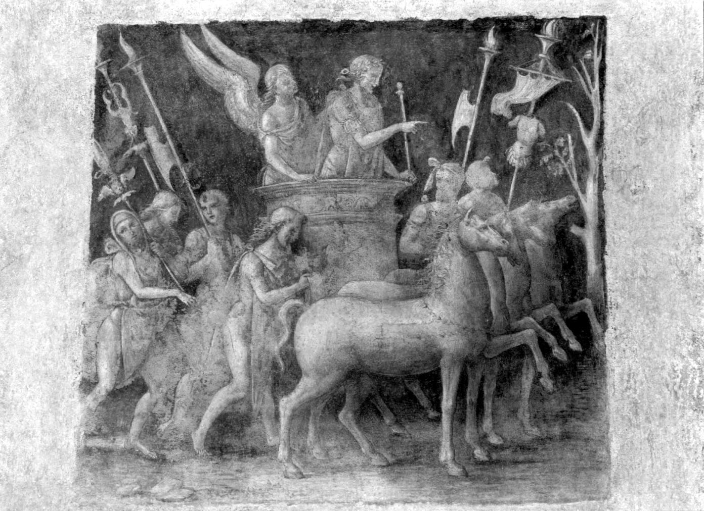 imperatore in trionfo (dipinto, complesso decorativo) di Bernardino di Betto detto Pinturicchio (attribuito) (sec. XV)