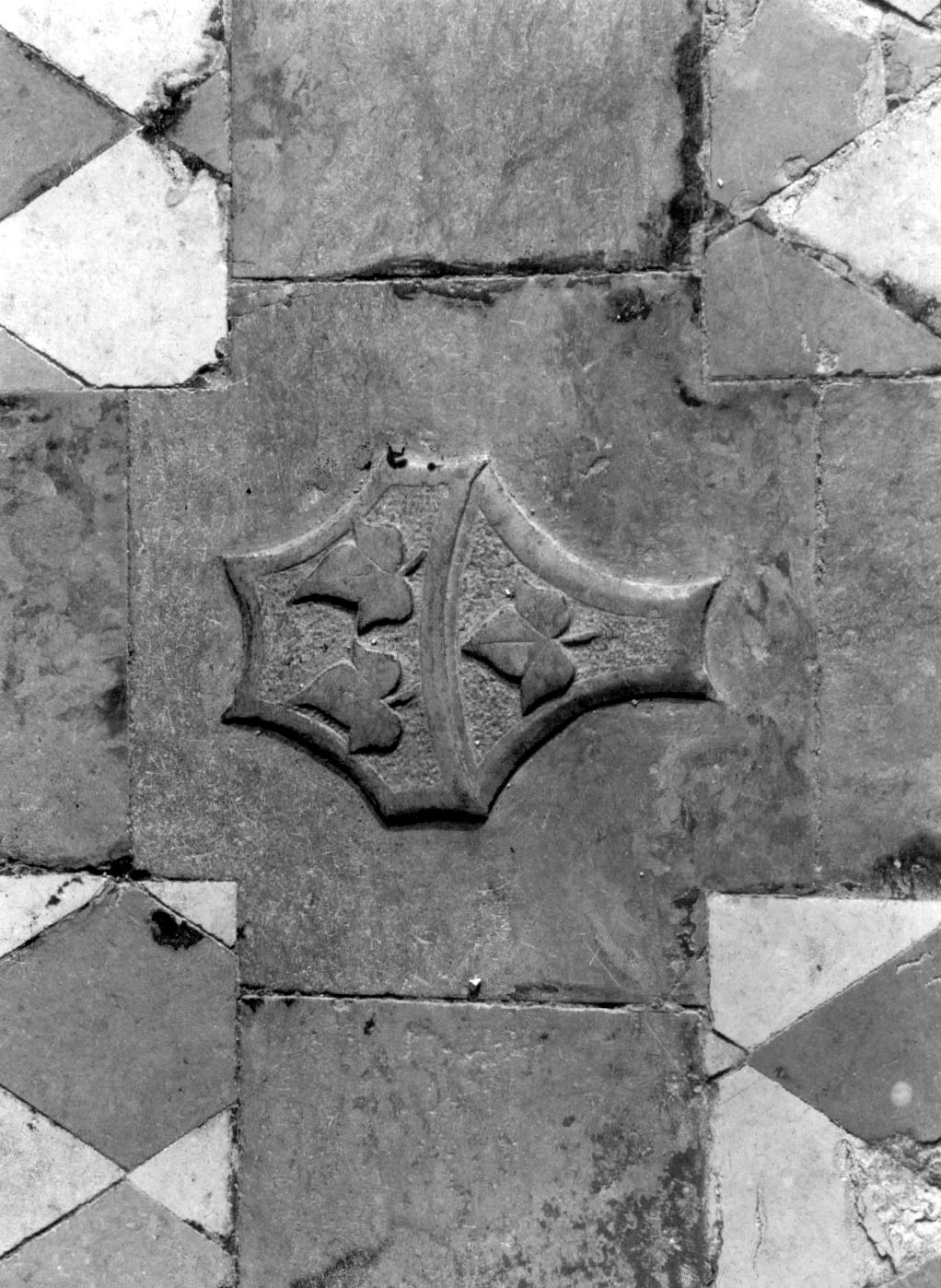 stemma (scultura, opera isolata) - bottega Italia centrale (inizio sec. XVI)