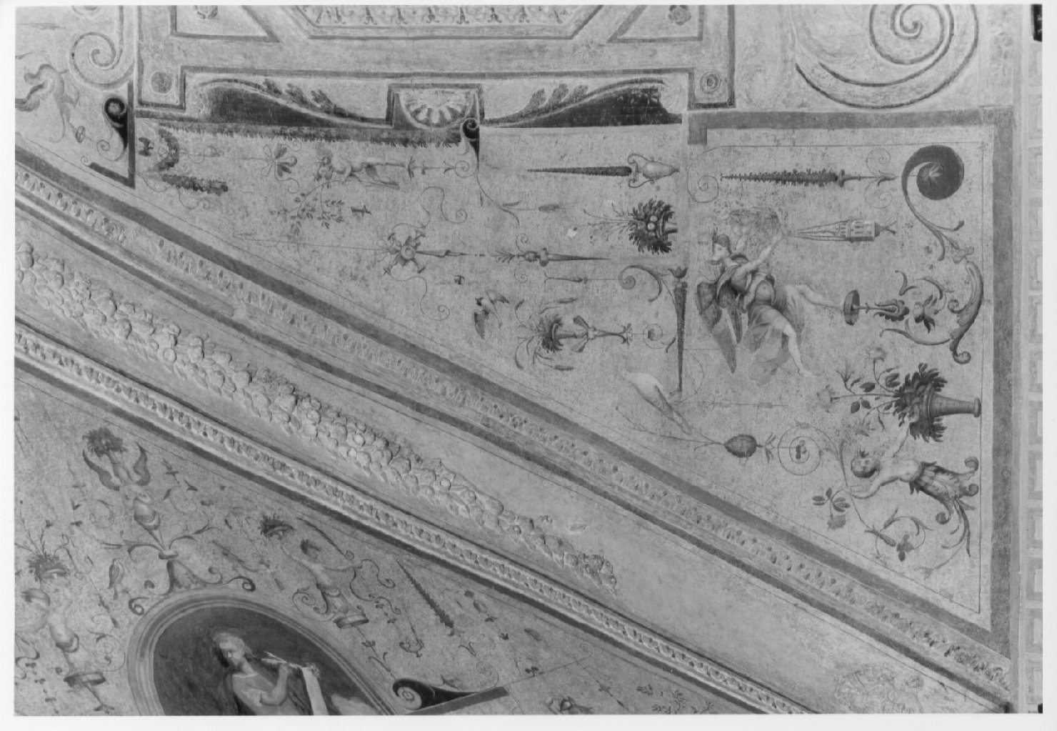 motivi decorativi a grottesche (dipinto, ciclo) di Nardini Francesco detto Santagnolo (attribuito) (metà sec. XVI)