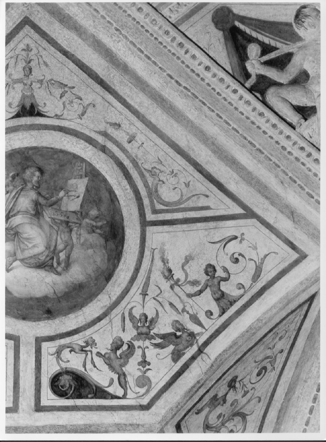 motivi decorativi a grottesche (dipinto, ciclo) di Nardini Francesco detto Santagnolo (attribuito) (metà sec. XVI)