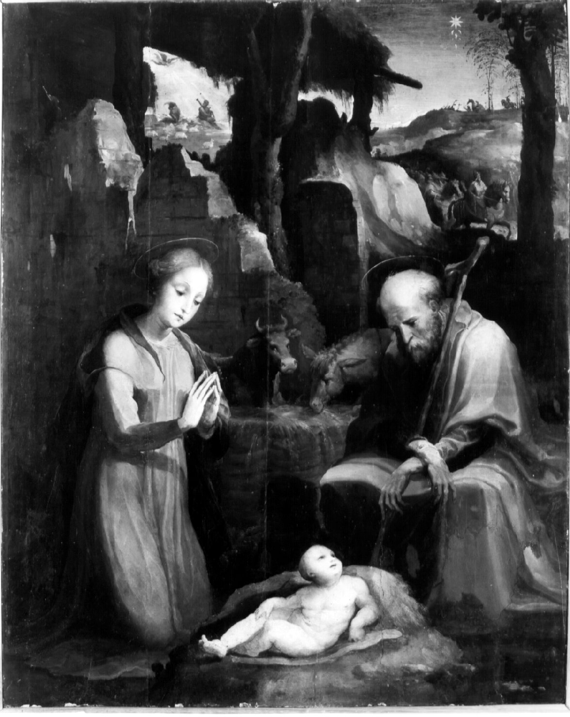 natività di Gesù (dipinto, opera isolata) di Beccafumi Domenico detto Mecarino (attribuito) (terzo quarto sec. XVI)