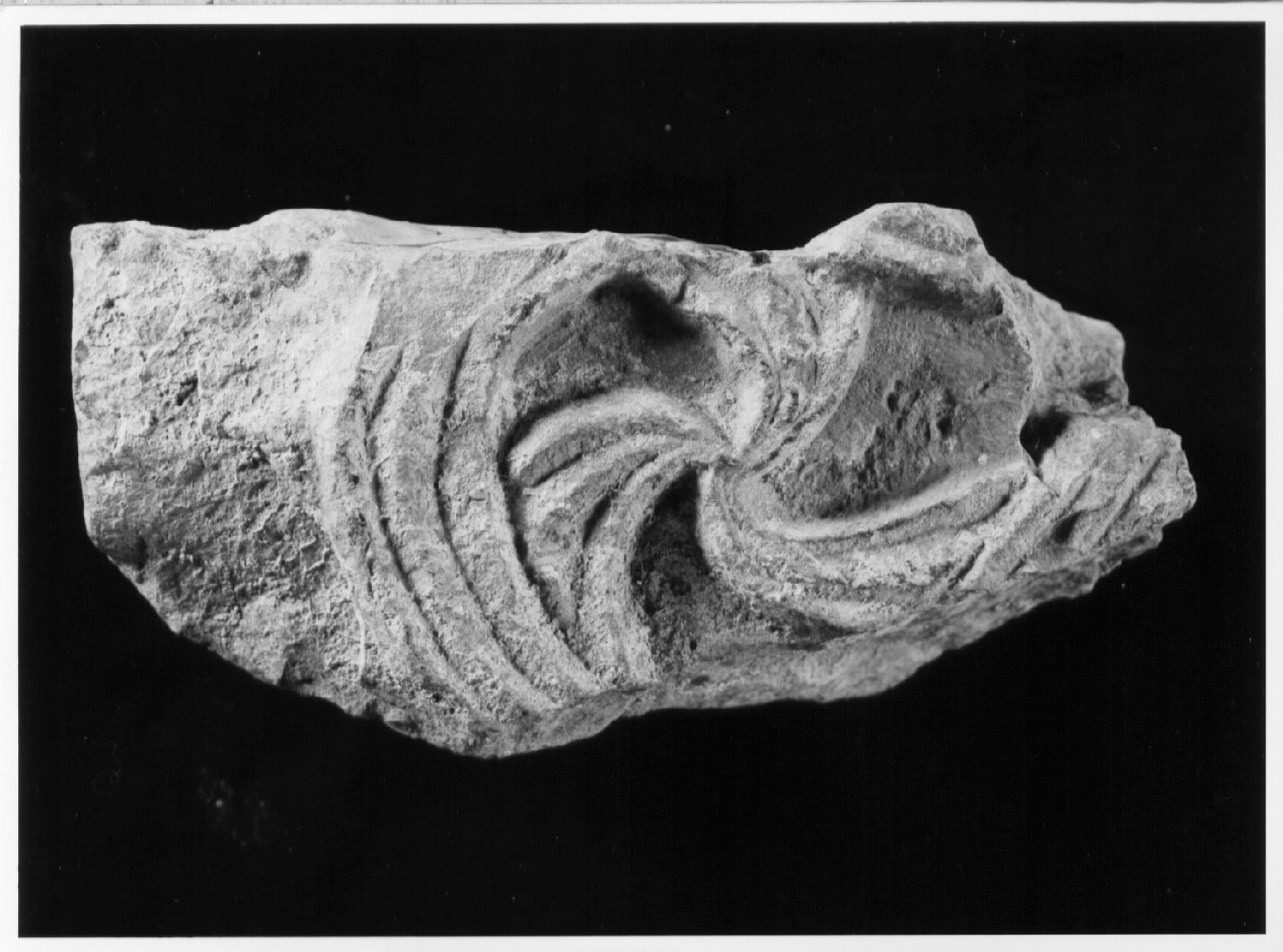 lastra - bottega Italia centrale (sec. IX)