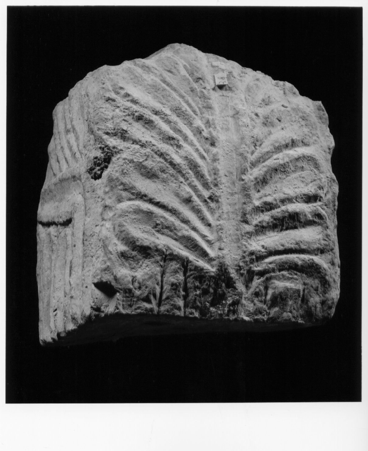 mensola - bottega Italia centrale (sec. IX)