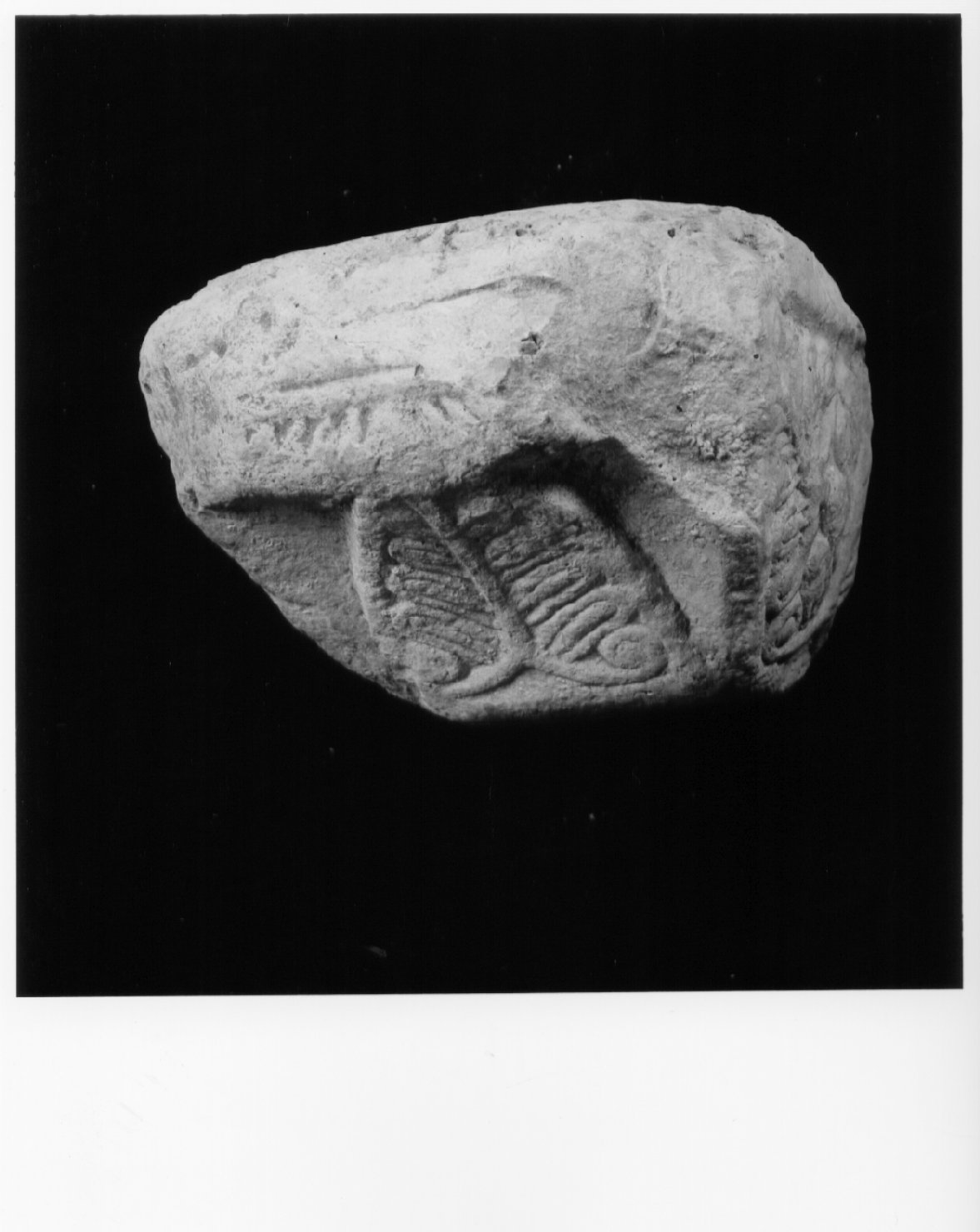 capitello - a gruccia - bottega Italia centrale (sec. IX)