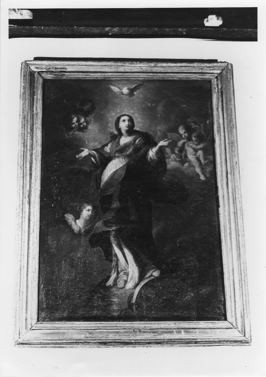Immacolata Concezione (dipinto, opera isolata) - ambito umbro (prima metà sec. XVIII)