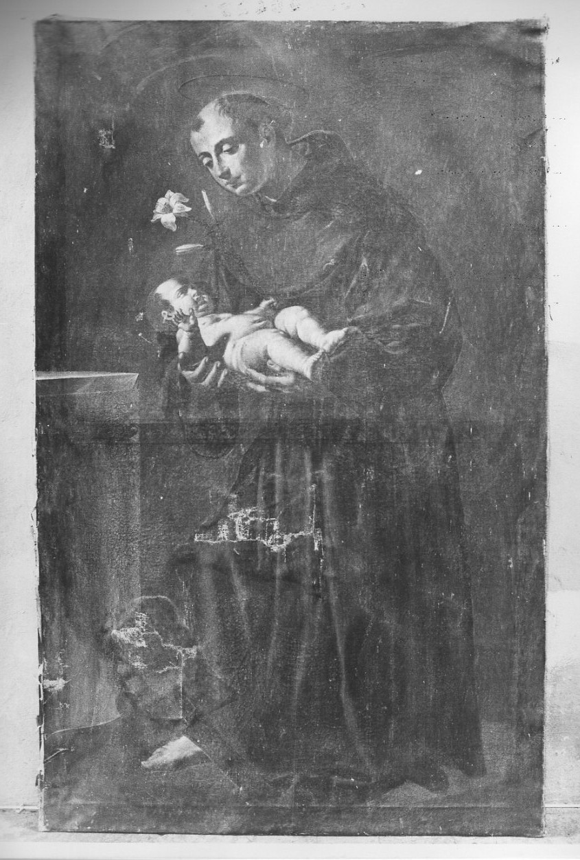 Sant'Antonio da Padova con il bambino (dipinto, opera isolata) - ambito umbro (sec. XVII)
