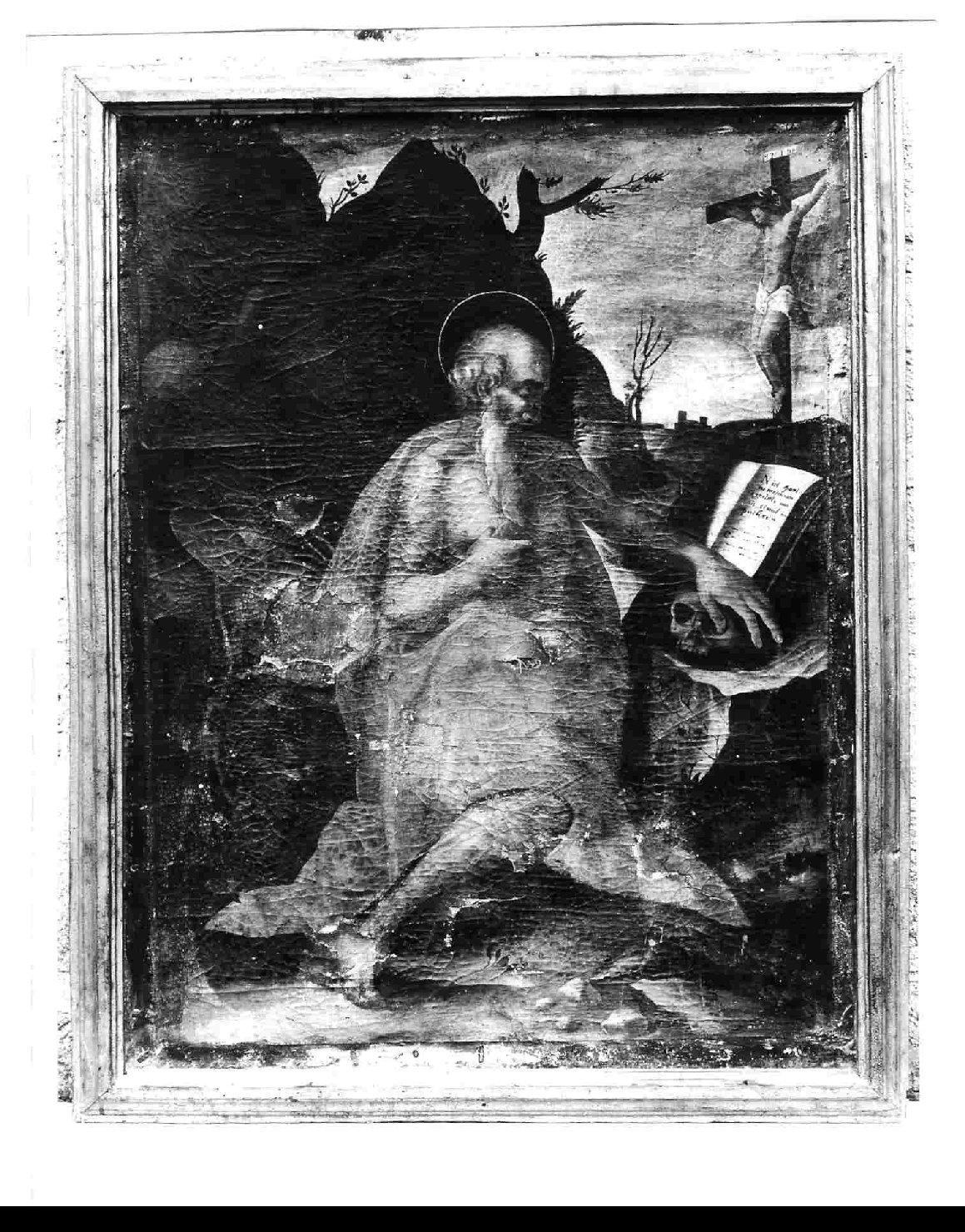 San Girolamo (dipinto, opera isolata) - ambito umbro (sec. XVII)