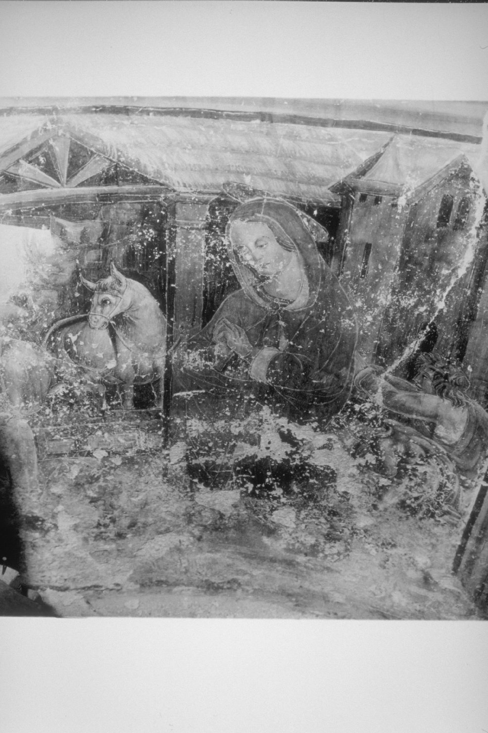 storie della vita di Gesù (dipinto, ciclo) di Filotesio Nicola detto dell'Amatrice (sec. XVI)