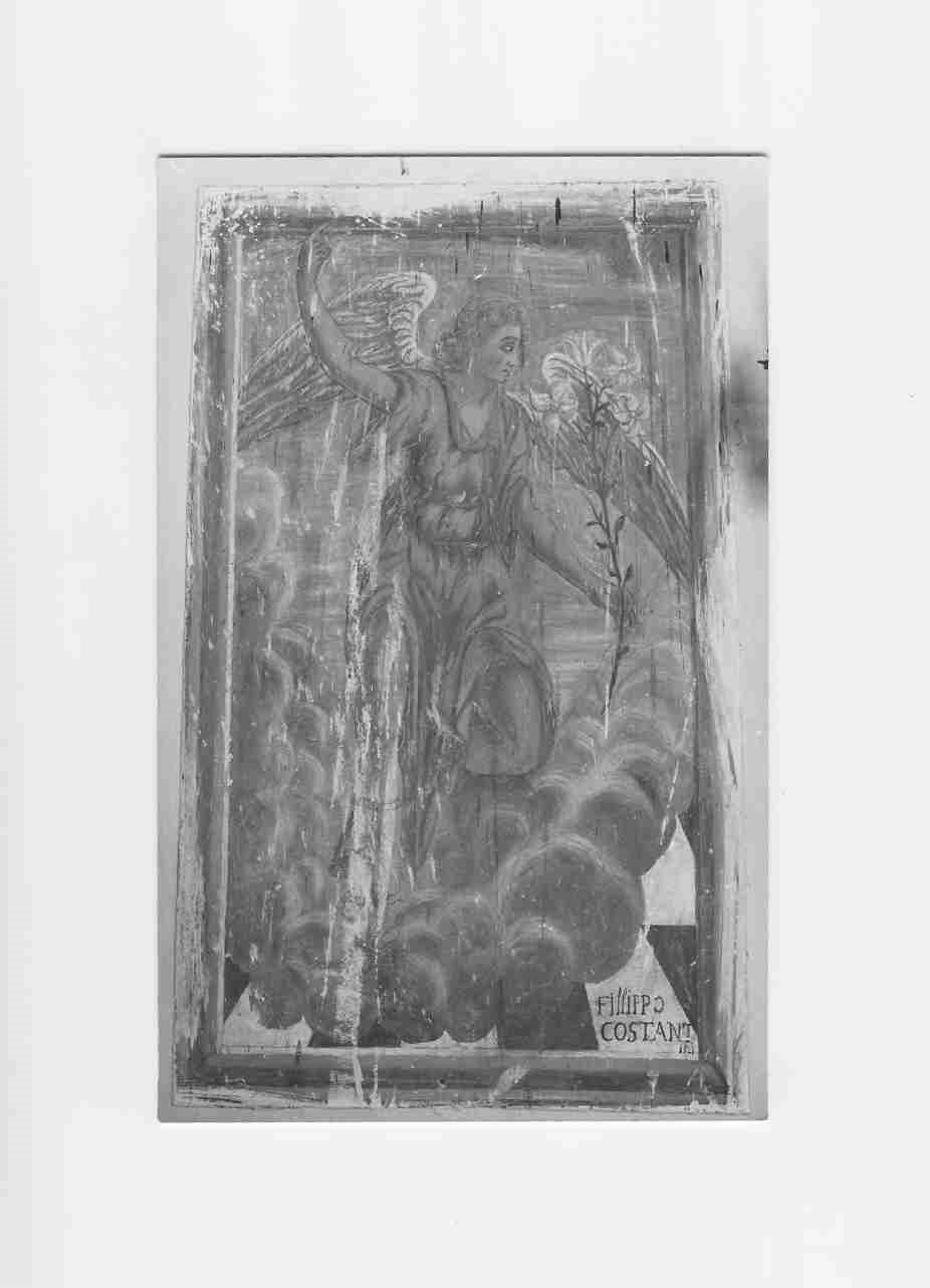 angelo annunciante (dipinto, opera isolata) di Costantini Filippo (sec. XVIII)
