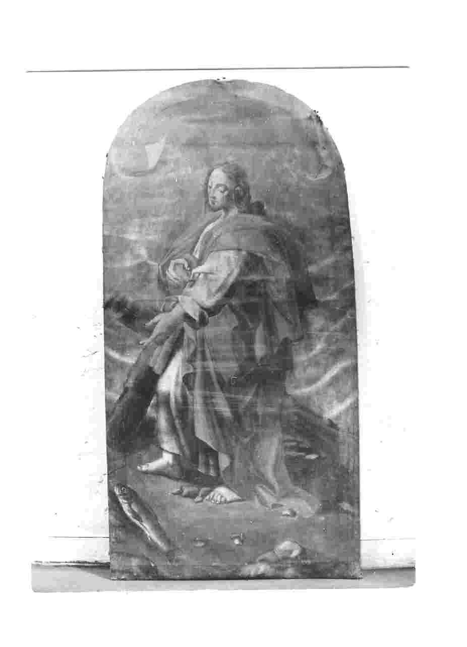 Sant'Andrea Apostolo (dipinto, opera isolata) - ambito umbro (sec. XVIII)