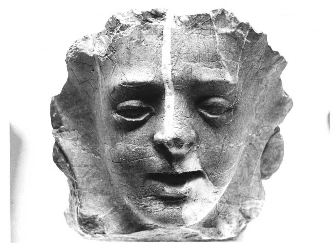Testa (scultura, frammento) di Giovanni Pisano (prima metà sec. XIV)