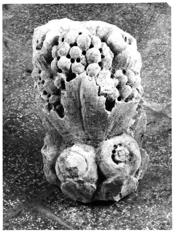 festone (decorazione plastica, frammento) di Buglioni Benedetto (sec. XV)