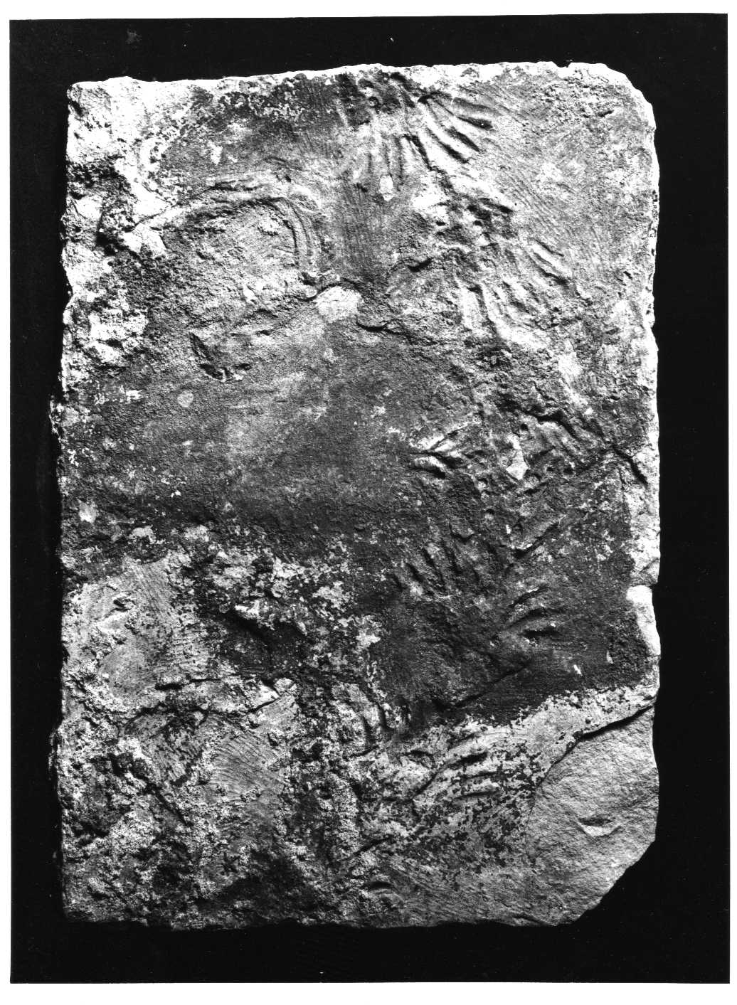 scultura, opera isolata - bottega Italia centrale (secc. III/ XV)