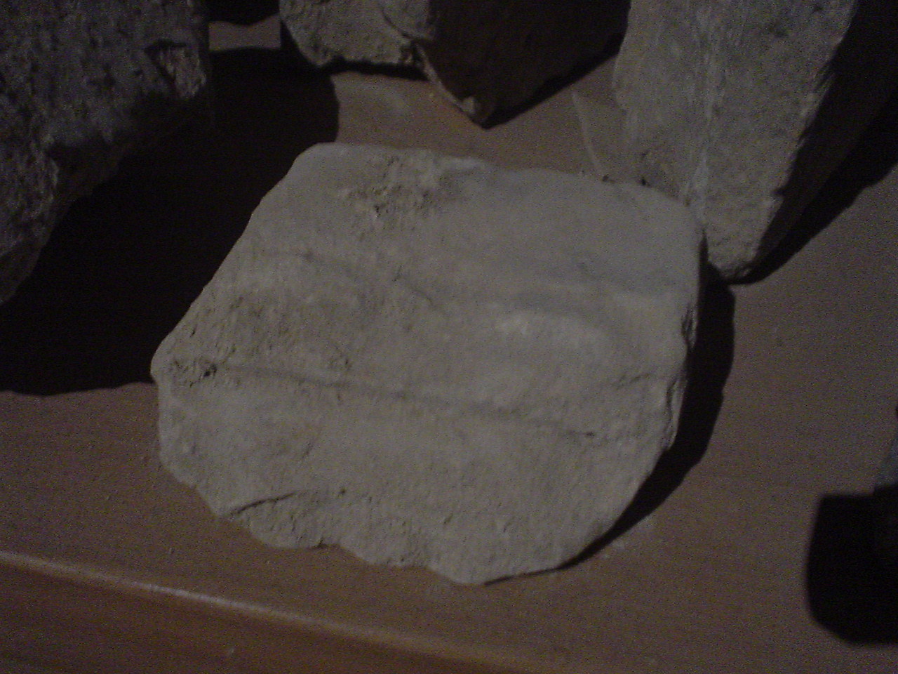 Frammento (h) (decorazione plastica, frammento) - bottega Italia centrale (secc. XII/ XIV)