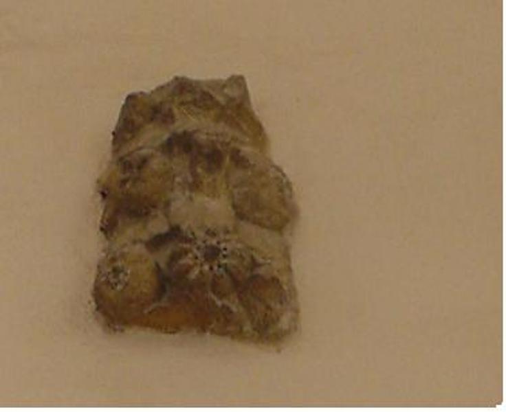 decorazione plastica, frammento di Buglioni Benedetto (sec. XV)