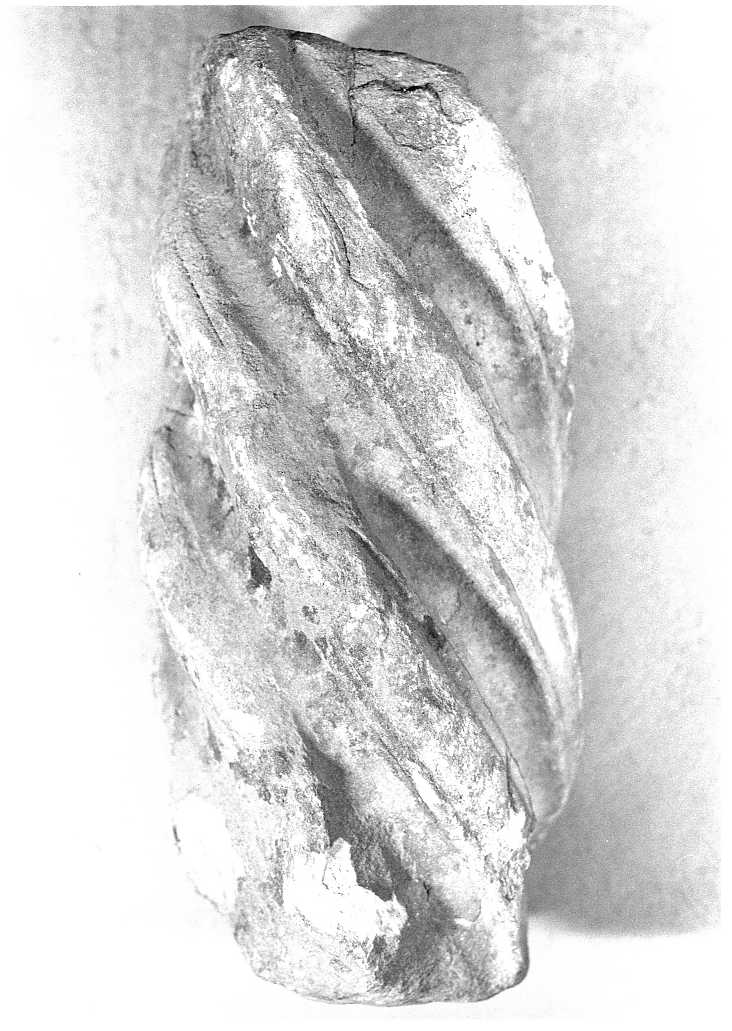 pilastrino, frammento - bottega Italia centrale (sec. XIV)