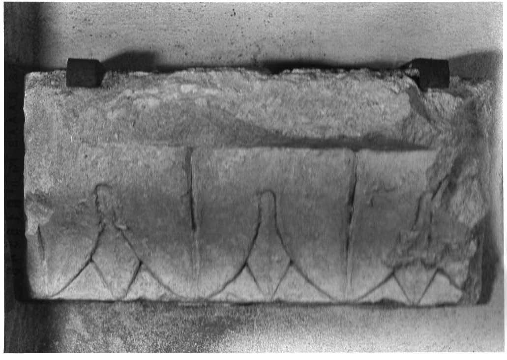 cornice, frammento - bottega Italia centrale (sec. XIV)