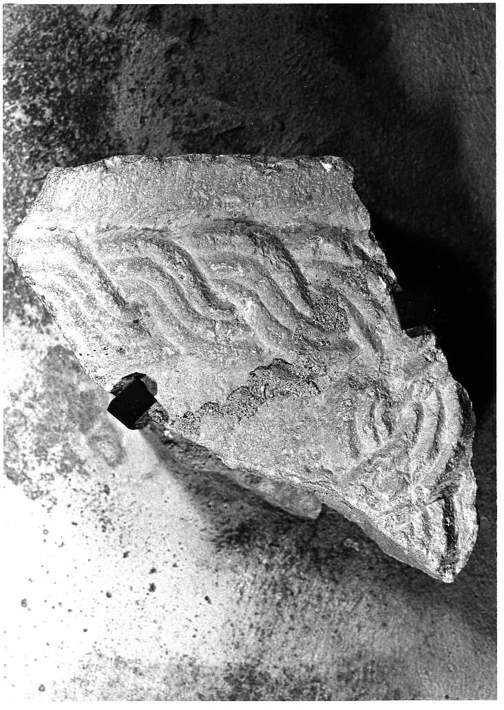 decorazione plastica, frammento - bottega Italia centrale (sec. X)