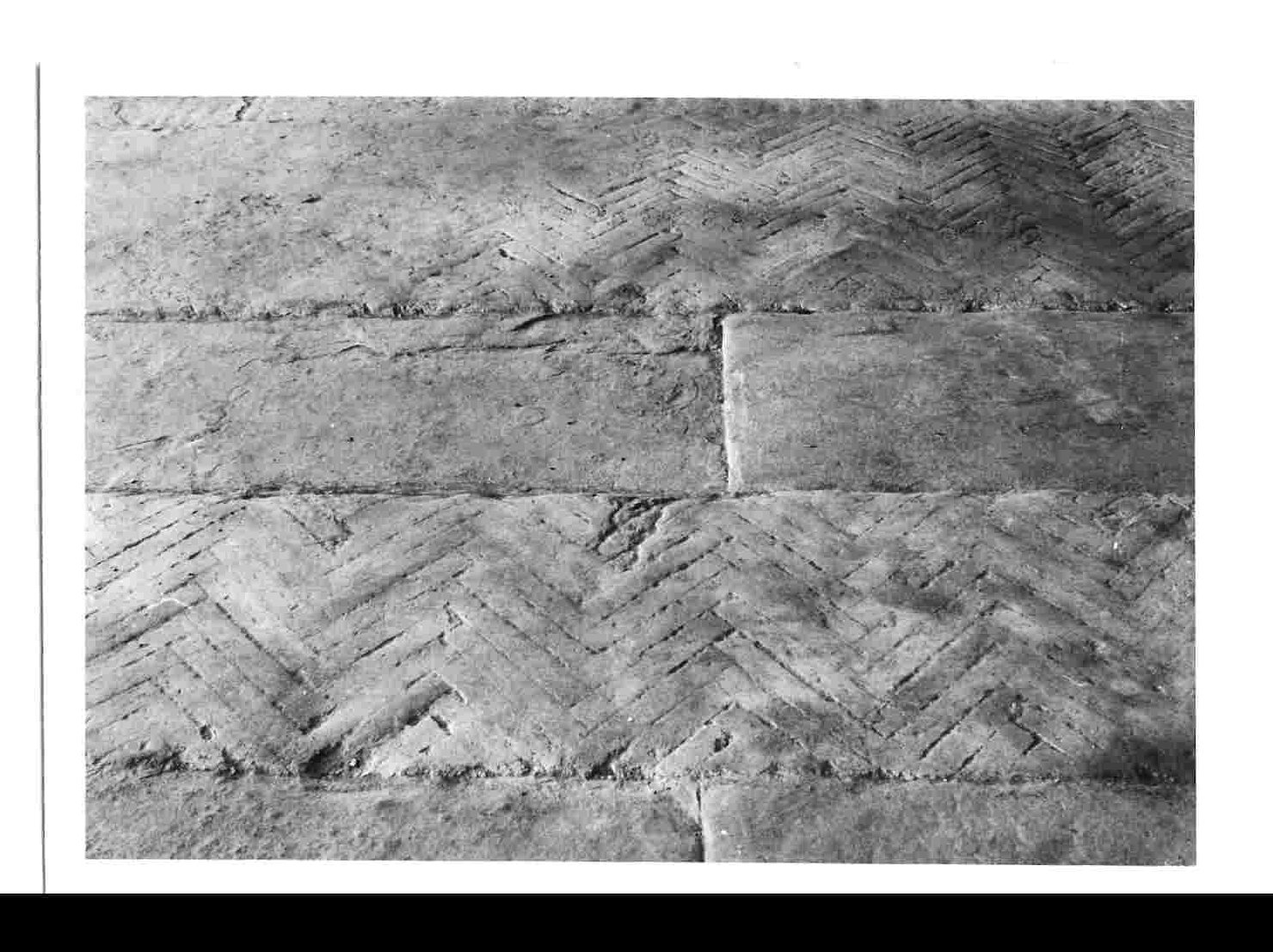 pavimento, opera isolata - bottega umbra (metà sec. XVI)