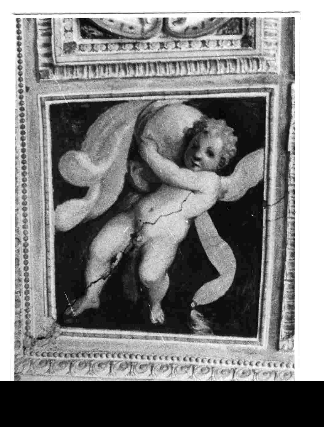putti alati (dipinto, serie) - ambito Italia centrale (metà sec. XVI)
