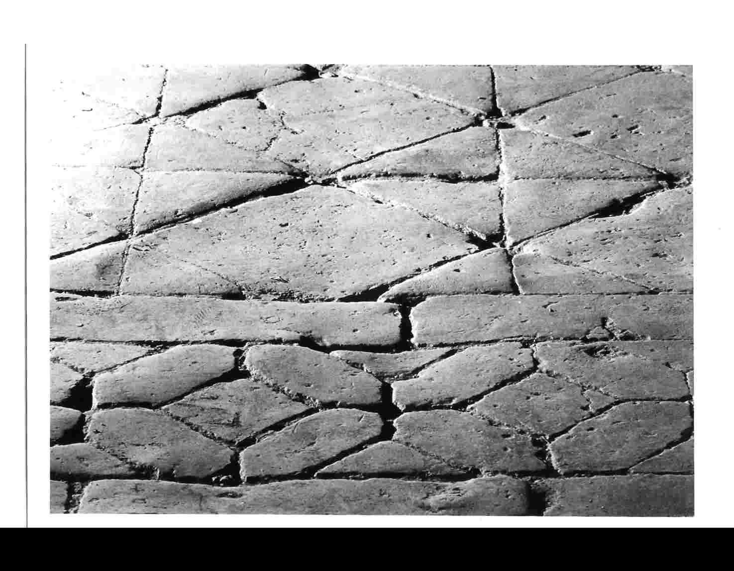 pavimento, opera isolata - bottega umbra (metà sec. XVI)