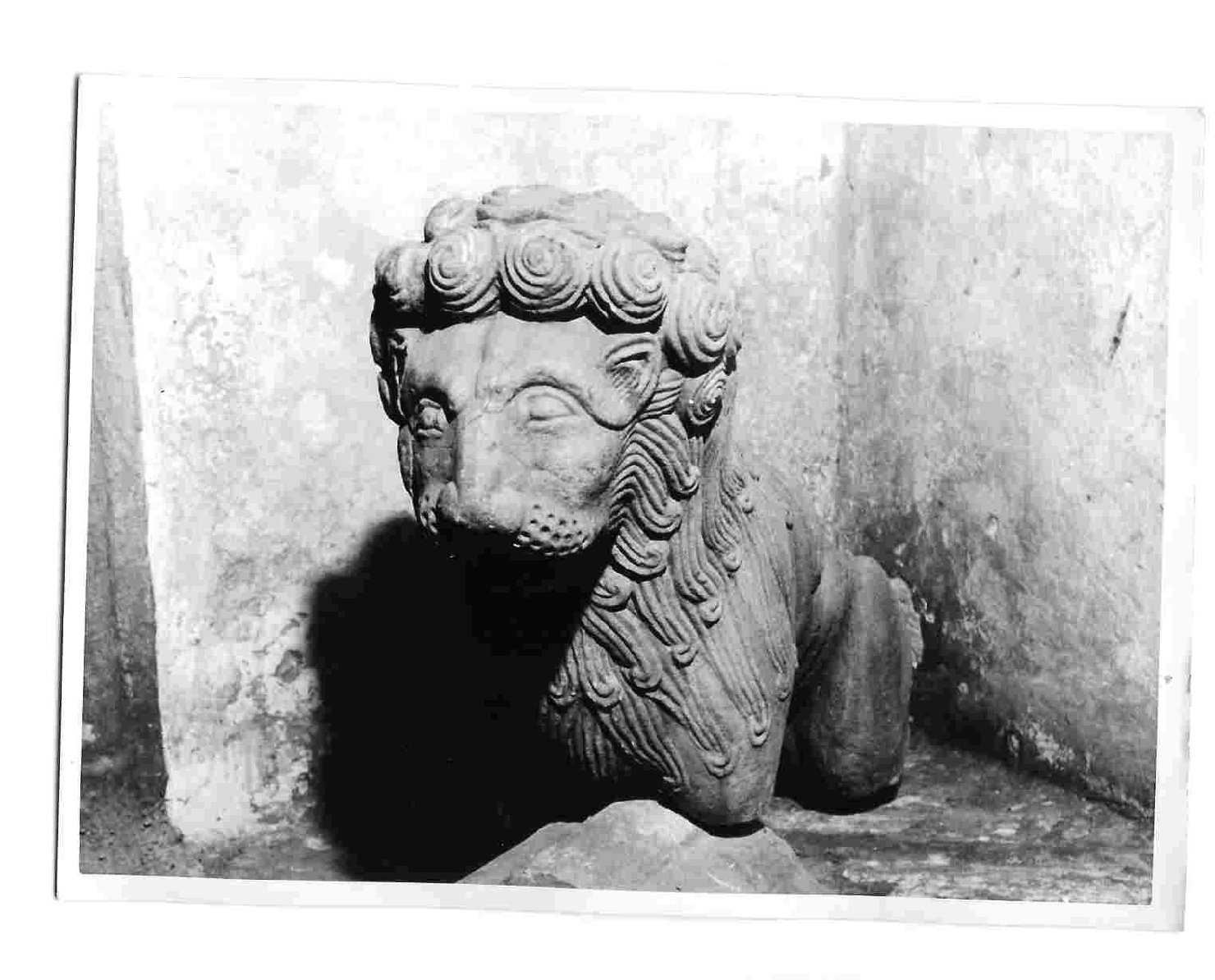 leone (scultura, insieme) - bottega Italia centrale (fine, inizio sec. XIII, sec. XIV)