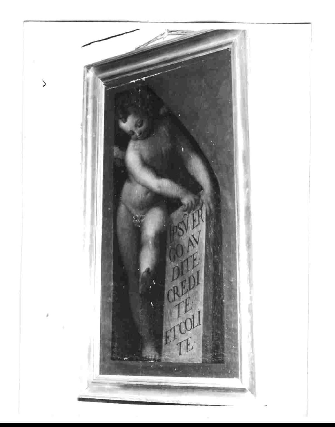amorino (dipinto, opera isolata) di Pippi Giulio detto Giulio Romano (scuola) (sec. XVI)