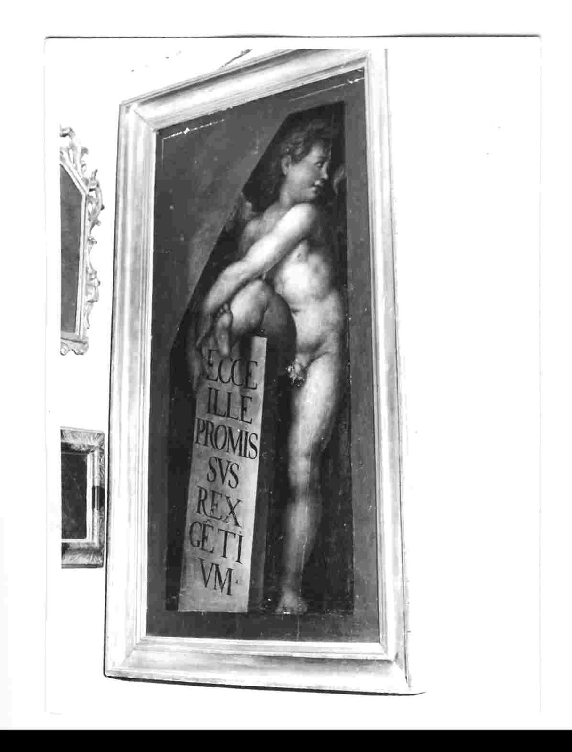 amorino (dipinto, opera isolata) di Pippi Giulio detto Giulio Romano (scuola) (sec. XVI)
