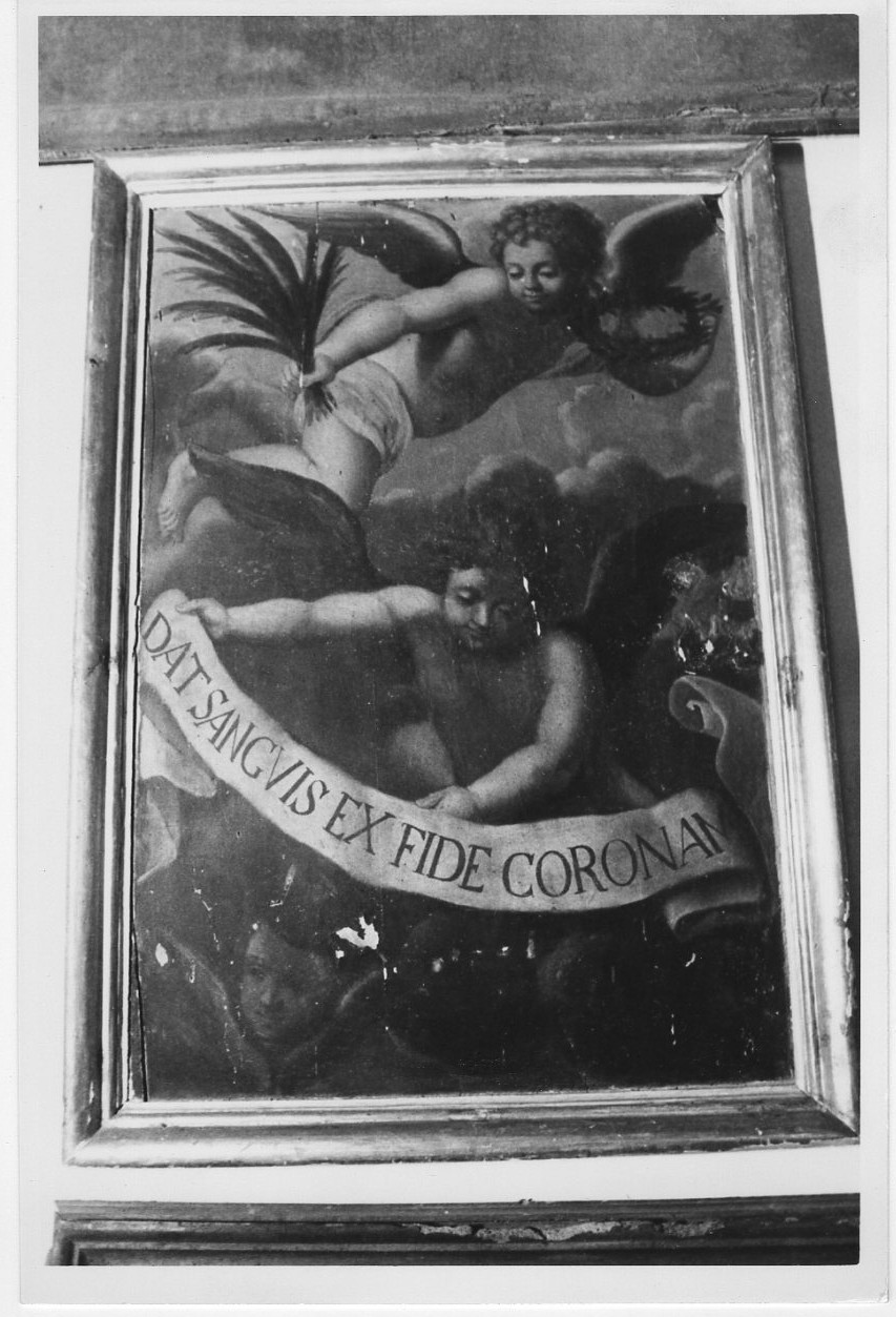 angioletti reggicartiglio (dipinto, elemento d'insieme) - ambito Italia centrale (sec. XVI)