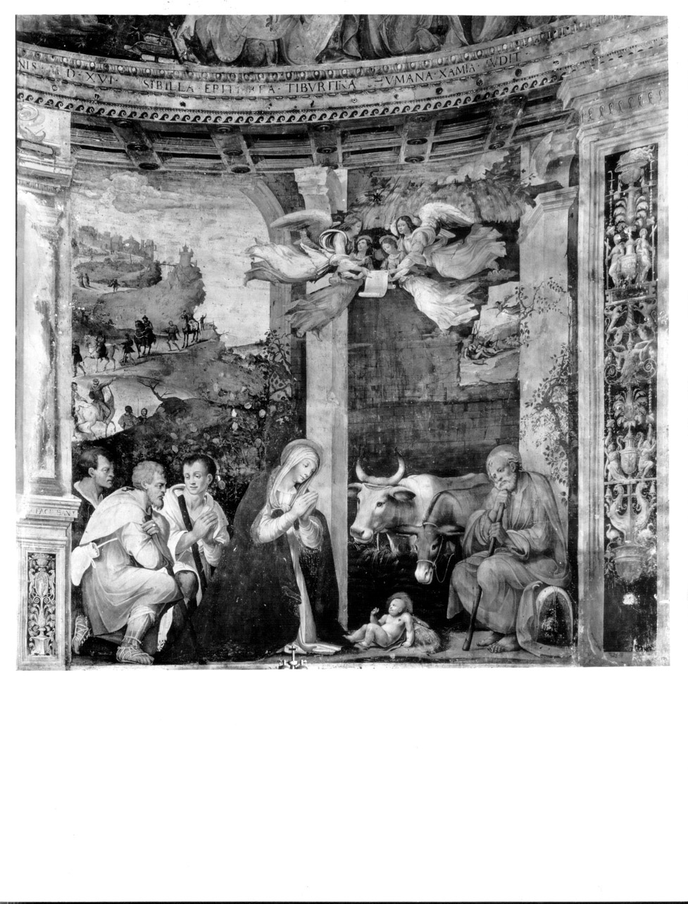 adorazione dei pastori (dipinto, elemento d'insieme) di Tamagni Vincenzo, Brunotti Giovanni (attribuito) (primo quarto sec. XVI)