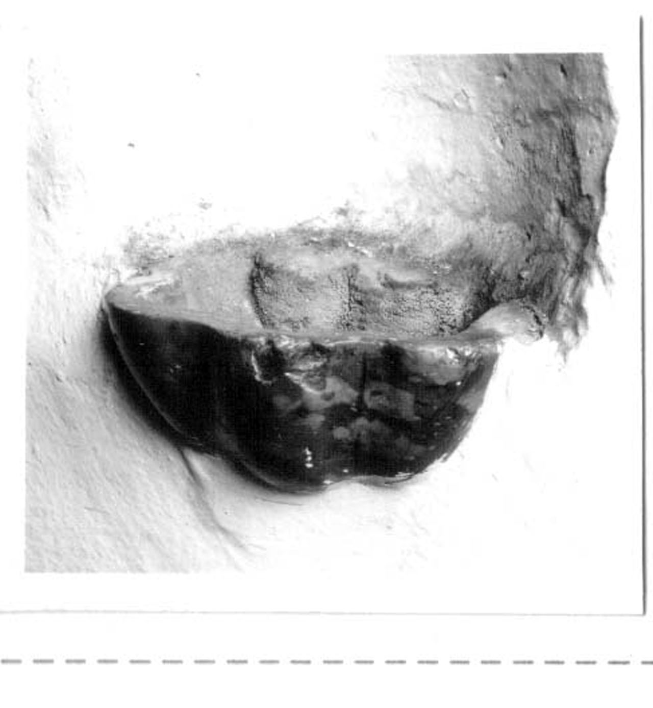 acquasantiera - a conchiglia, opera isolata - bottega umbra (sec. XVII)