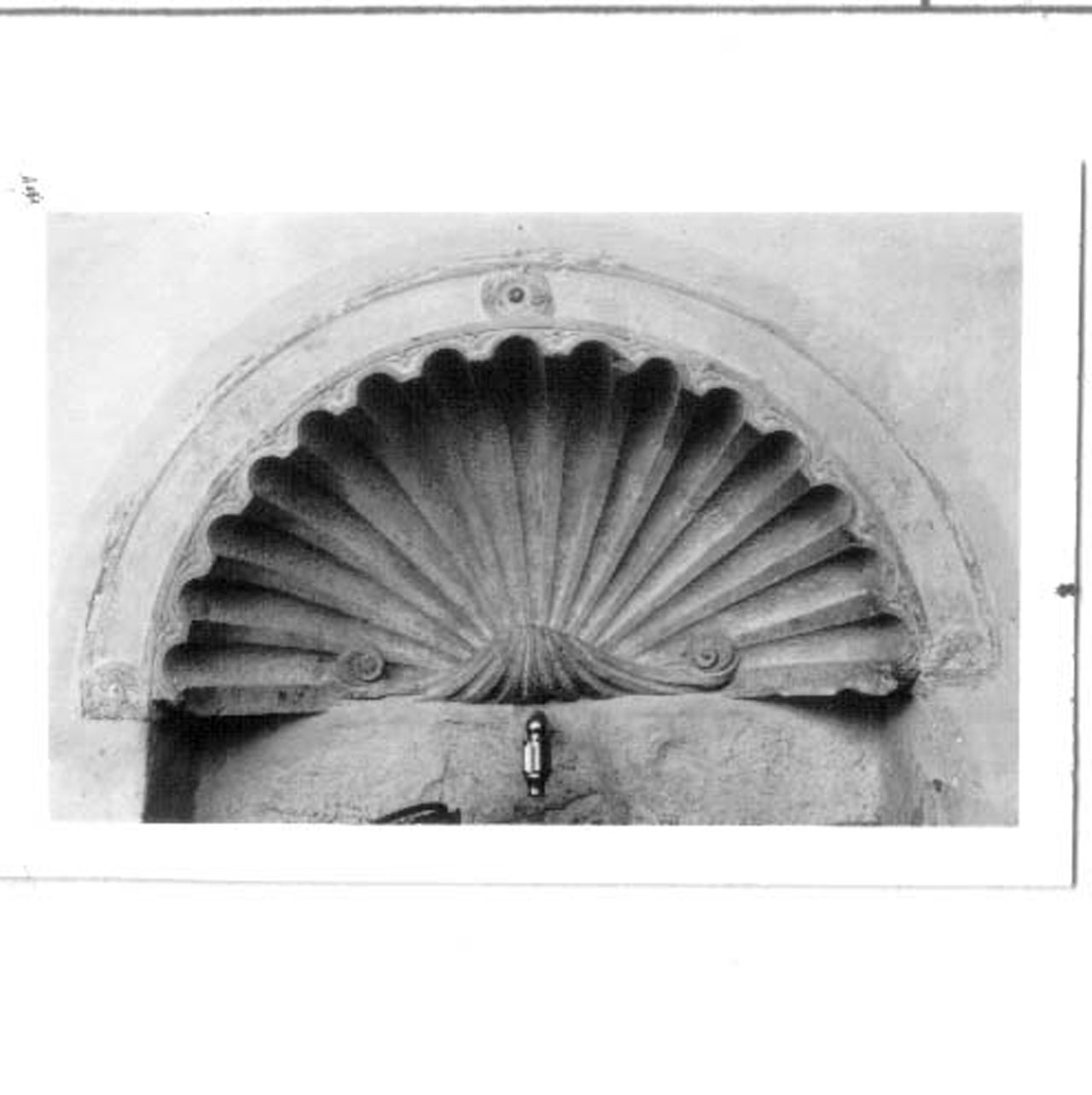 conchiglia (rilievo, opera isolata) - bottega umbra (sec. XVII)