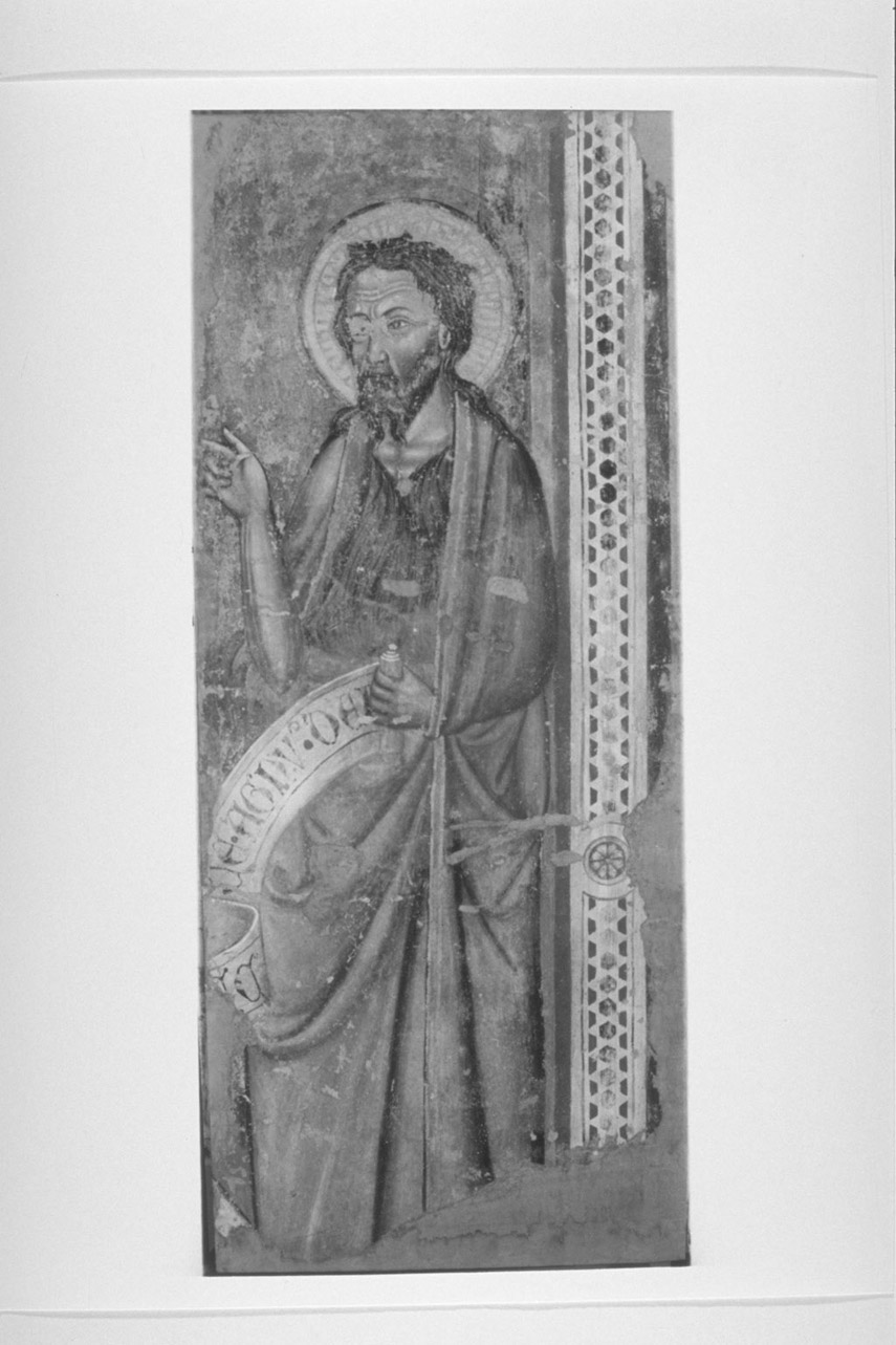 San Giovanni Battista predica nel deserto (dipinto, frammento) di Pellicciaio Giacomo di Mino del (seconda metà sec. XIV)