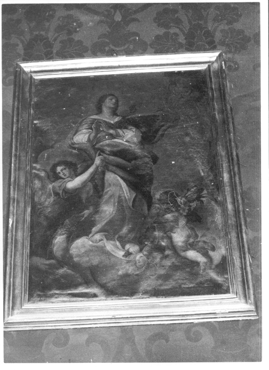 Madonna Assunta con angeli (dipinto, opera isolata) di Fiorucci (inizio sec. XIX)
