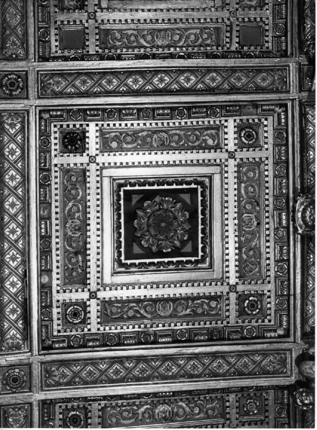 soffitto, complesso decorativo - bottega umbra (sec. XVI)