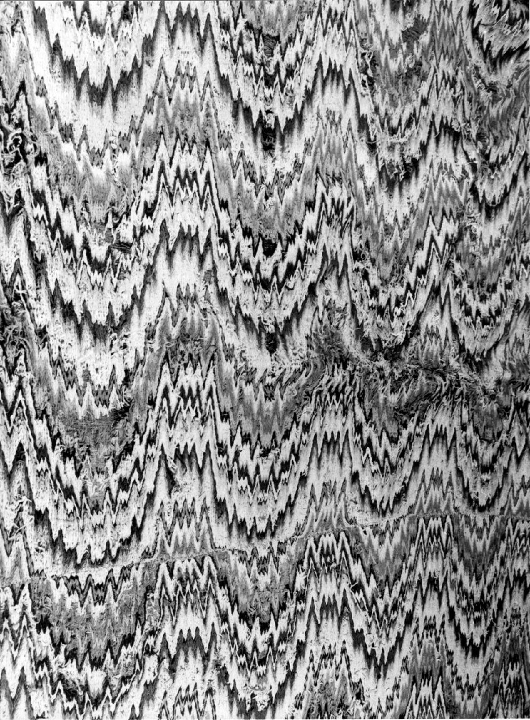 tappeto, opera isolata - manifattura umbra (fine sec. XVIII)