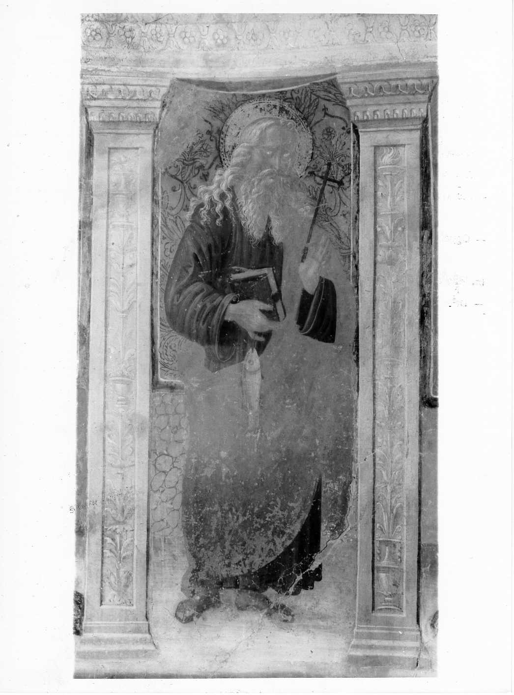 Sant'Andrea (dipinto, complesso decorativo) di Melanzio Francesco (e aiuti) (inizio sec. XVI)