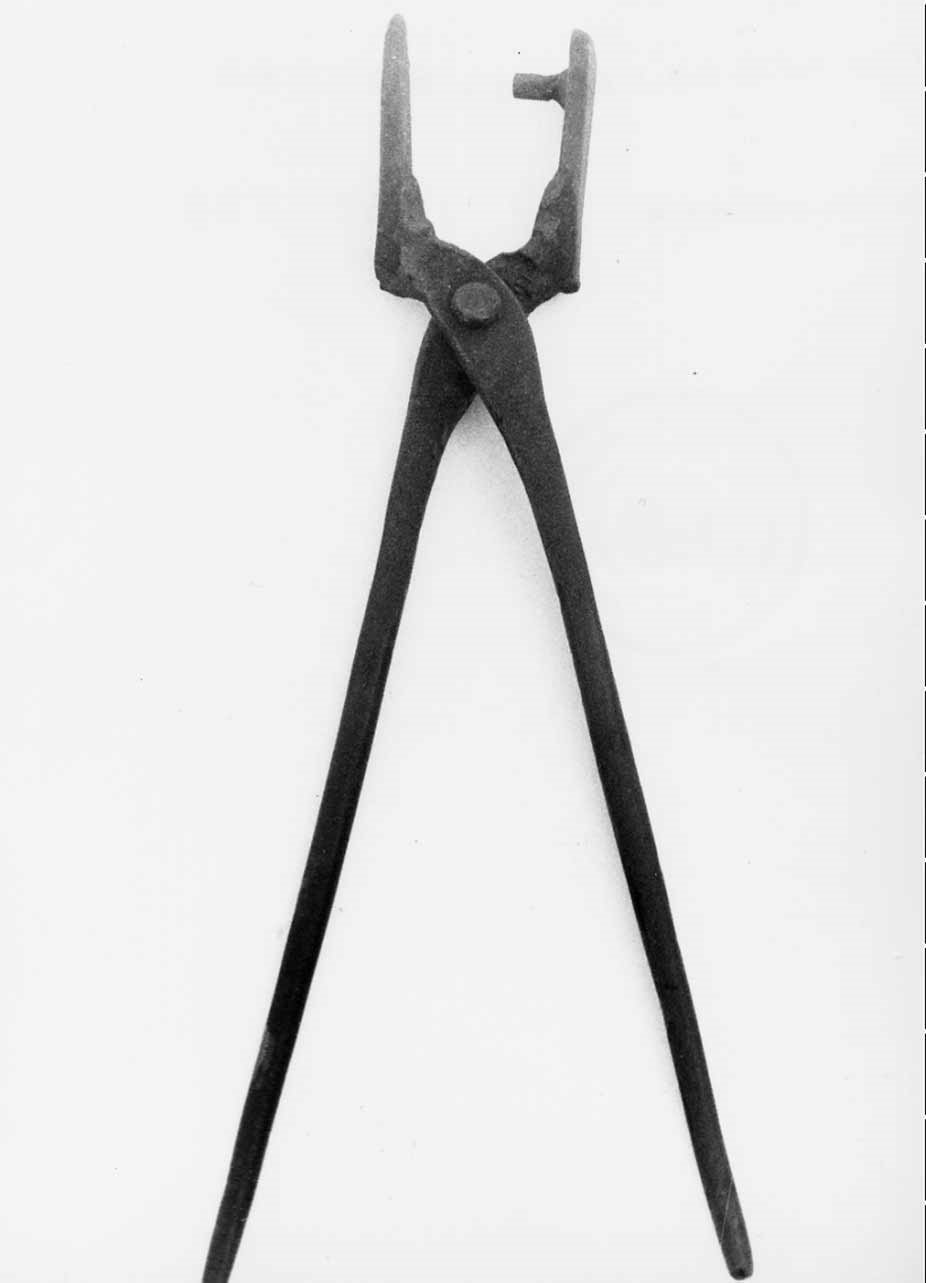 tenaglia a dente di Lucidi Domenico (fabbro) - bottega umbra (sec. XX)