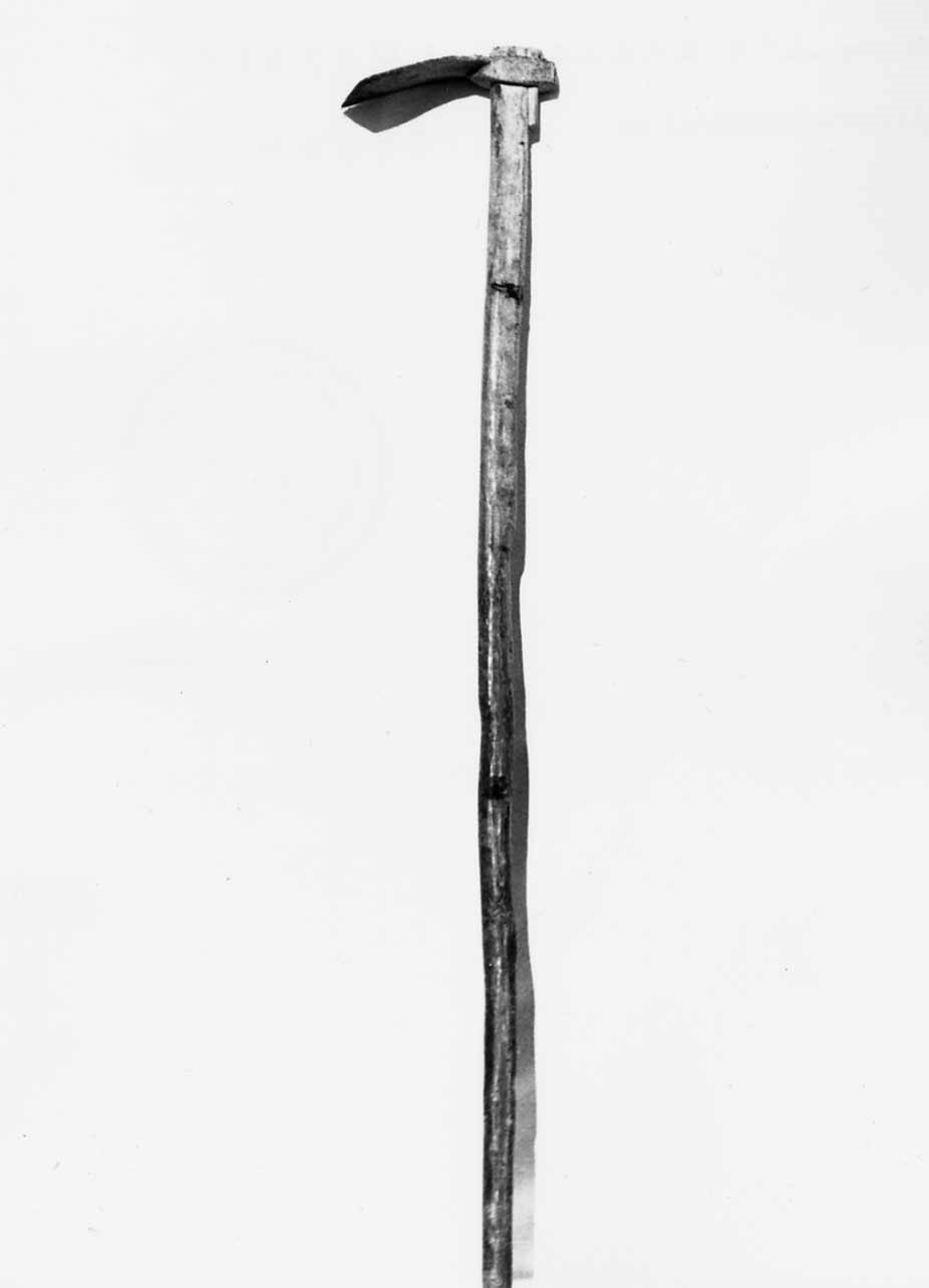 zappa - bottega umbra (sec. XX)