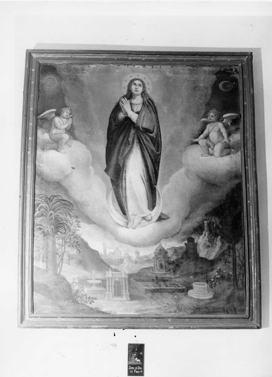 Madonna Assunta con angeli (dipinto, opera isolata) di suor Ortenzia Mangrossi (attribuito) (sec. XVII)
