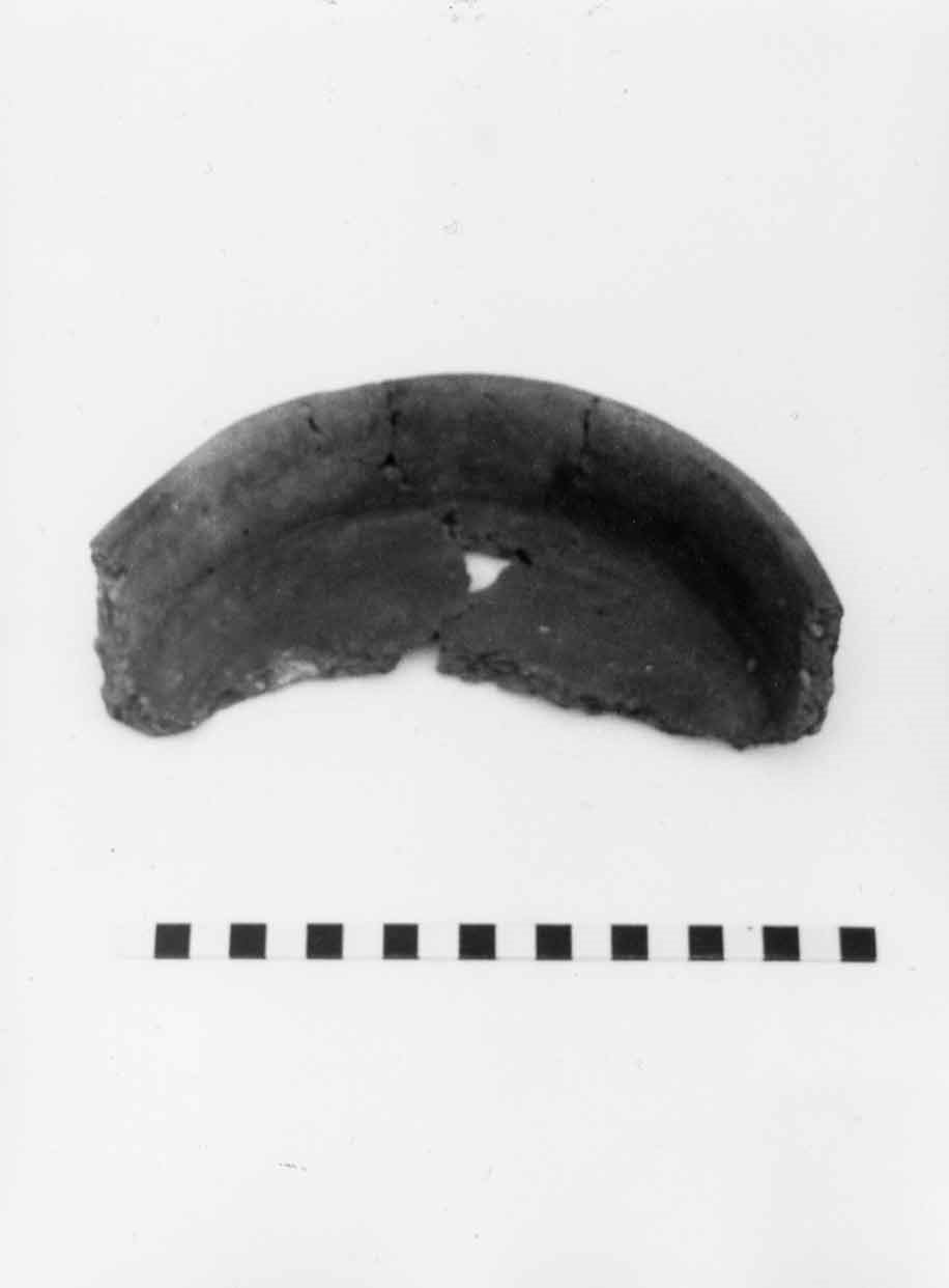 testo, opera isolata - bottega orvietana (fine/inizio secc. XIII/ XIV)