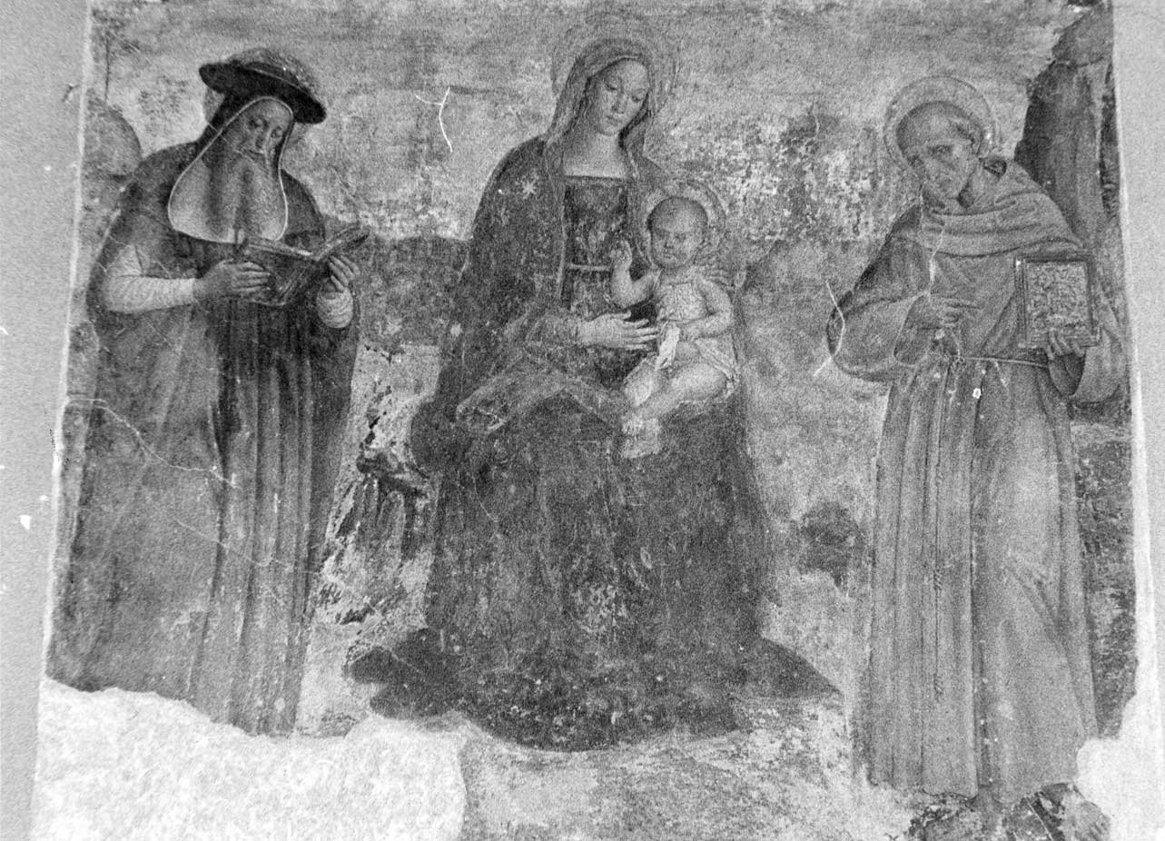 Madonna con Bambino e Santi (dipinto, opera isolata) di Andrea d'Assisi detto Ingegno (attribuito) (sec. XVI)