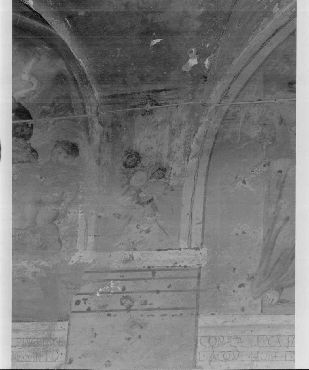 fiori (dipinto, elemento d'insieme) - ambito Italia centrale (sec. XVII)