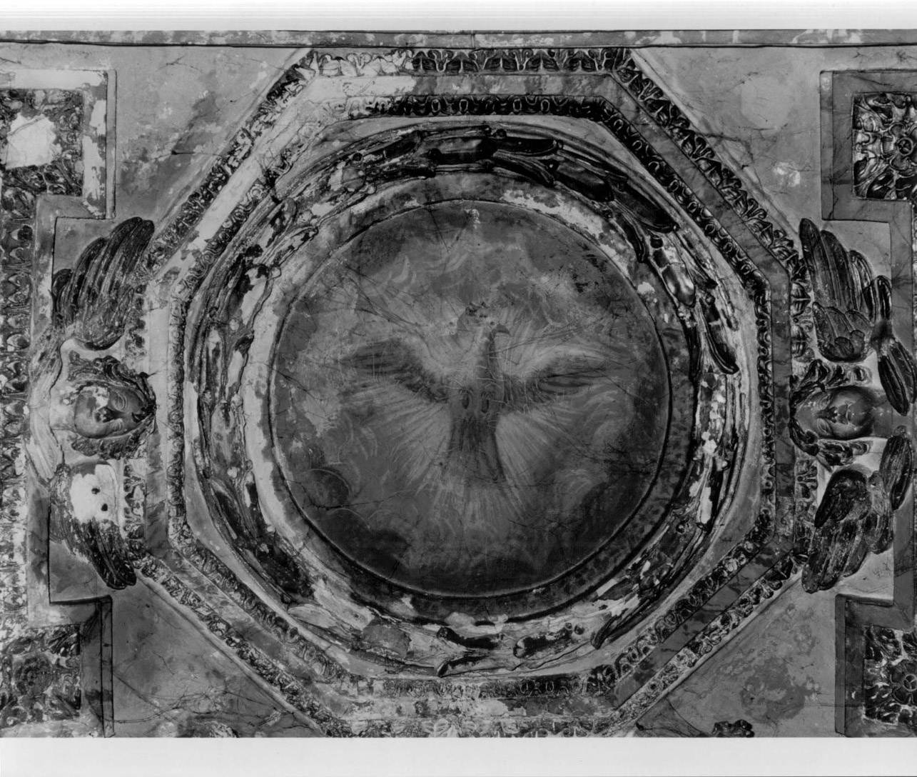 colomba dello Spirito Santo (dipinto, complesso decorativo) - ambito Italia centrale (ultimo quarto sec. XVII)