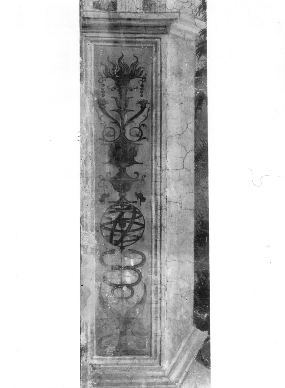 motivi decorativi a grottesche (dipinto, elemento d'insieme) di Melanzio Francesco (attribuito) (inizio sec. XVI)