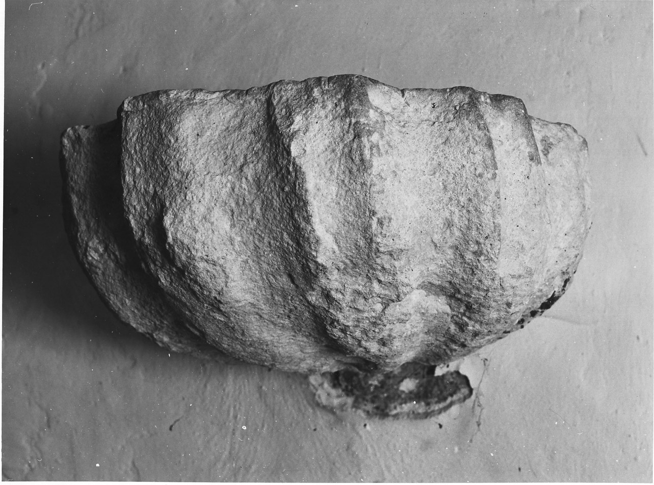 acquasantiera da parete, opera isolata - bottega Italia centrale (sec. XV)